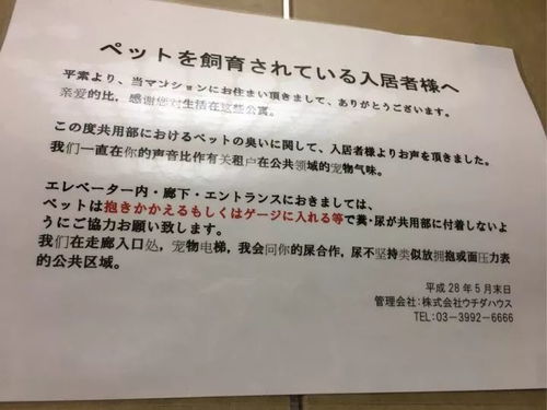 手机禁止带入校园英语作文,关于手机是否带入学校的英语作文,手机是否能带入校园英语作文