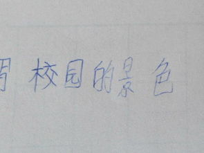 作文校园的景色350字