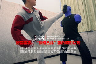 小学生校园霸凌作文