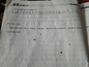 校园里忘不了作文600字