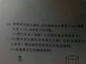 眷恋校园作文五百字