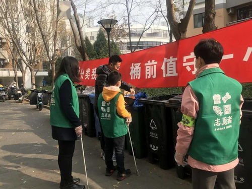 作文,美化,垃圾,校园