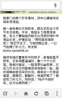 校园见闻作文200字,校园见闻作文600字,校园见闻作文500字
