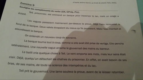 法语,作文,校园