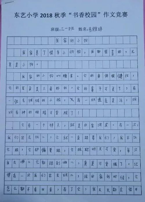 作文,校园,活动