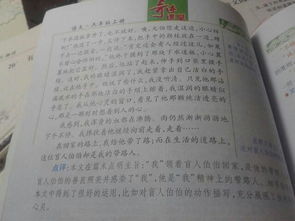 以校园中的两种植物为题写一篇作文300字