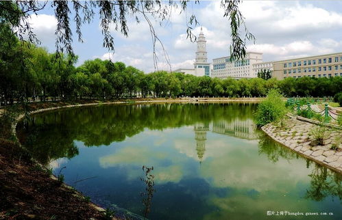 校园的美景春夏秋冬一个作文