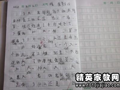 关于校园植物的800字作文