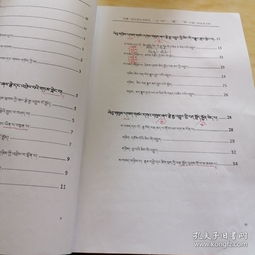 描写西南民族大学校园的作文