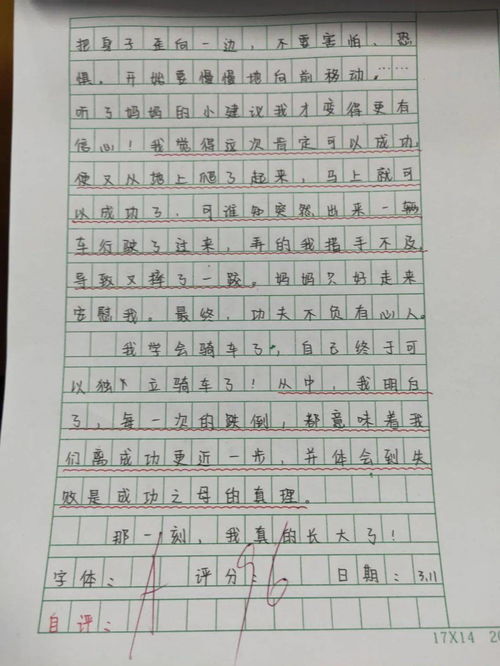 美丽的实验小学作文,美丽的实验小学作文怎么写,我美丽的实验小学作文