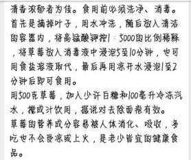 校园300字作文运用说明