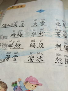 描写秋天校园里的公园200字作文