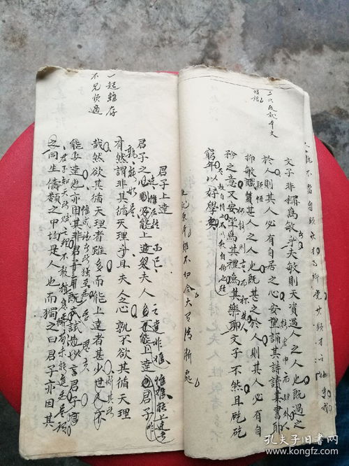 批语,作文,美丽,校园