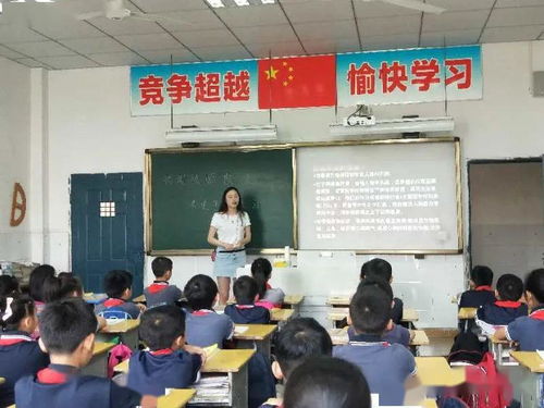 欺凌,作文,校园,德育处