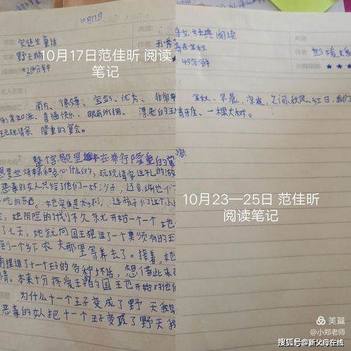 作文,在校,园里,劳动
