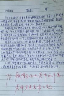 作文,雨后,小学生,校园