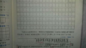 校园反暴力作文390字