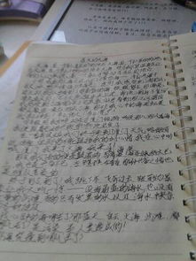 四级作文写校园400字左右