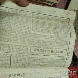 关于三中校园作文600字