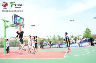 观校园篮球赛有感作文800议论文