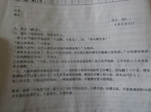 谈校园暴力议论文800字作文