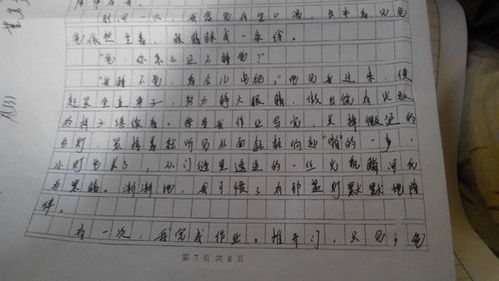 校园记忆作文初三700字作文