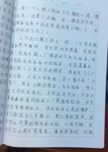 回味校园活动作文1000字