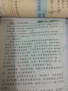清晨雨中校园作文400字
