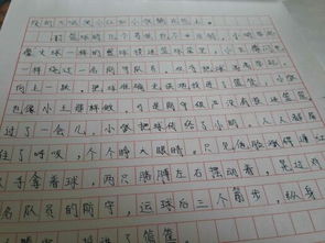 作文,校园安全,百字