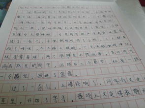 作文,个字,美丽,校园