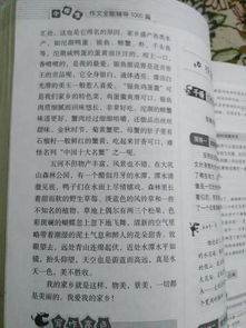 校园美丽的地方作文300字左右