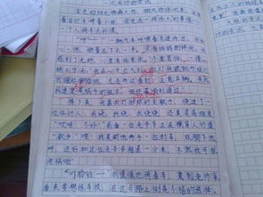 我们校园的作文400字,校园里的作文400字,推荐校园的作文400字