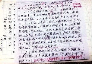 20后的校园这篇作文怎么写