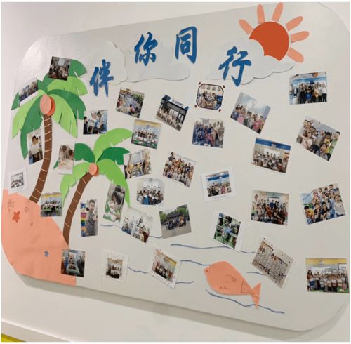 见证校园成长的作文