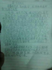 校园里的春夏两百字作文