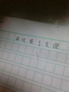 夏天校园的窗外作文600字