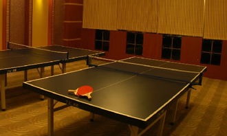 校园里关于乒乓球赛的作文