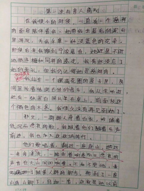 校园的读书声小学生作文