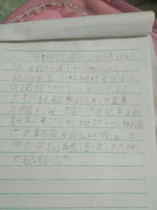 校园里的大松树作文怎么写