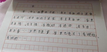 我的校园作文不少于450字,我的校园作文不少于400字,我的校园作文不少于300字