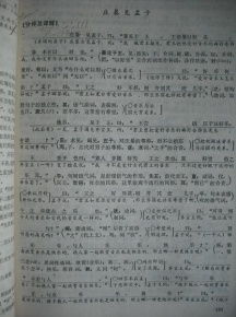 校园文明评点高中作文300字