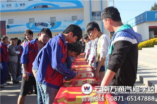 作文,校园环境,拒绝,保护