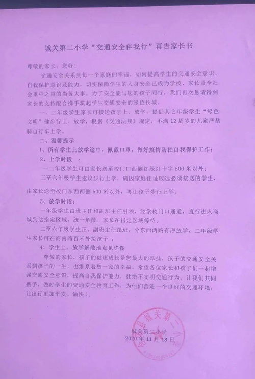 城关二小校园作文