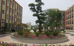 花坛,校园里,优秀作文