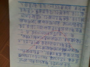 六小校园的作文400字