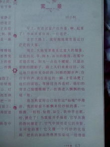 作文,景色,校园