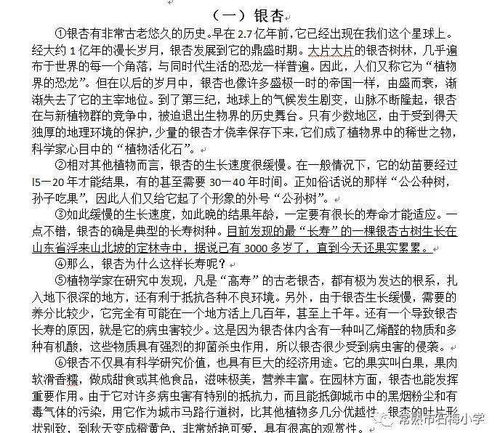 校园里那到亮丽的风景线作文400字