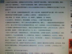 新闻报道校园运动会英语作文