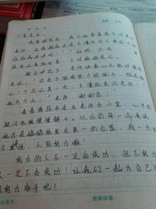 校园的启示作文500字