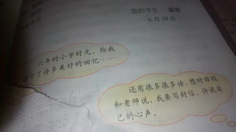 小学校园里的记忆400字作文六级